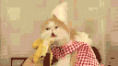 /album/imagens-gifs/gato-comendo-gif/